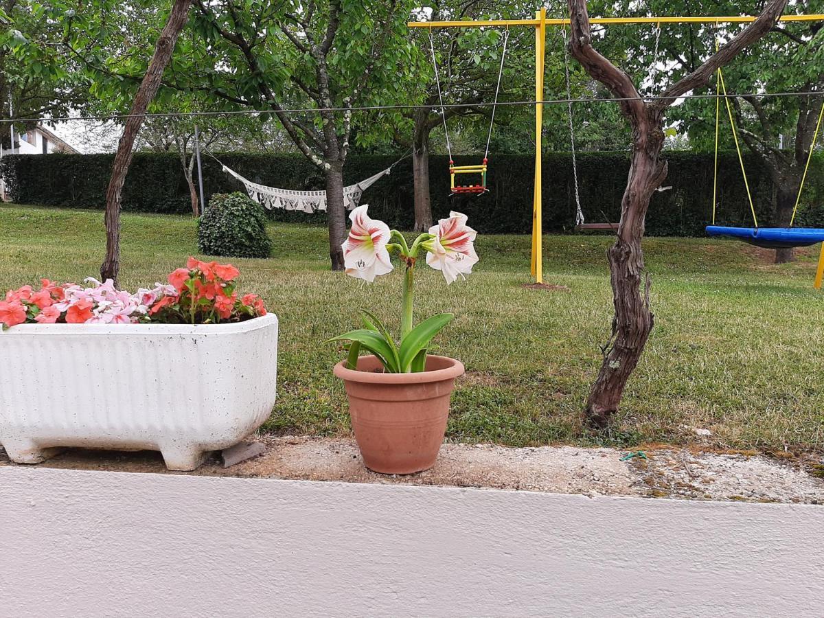 Rale * Umag