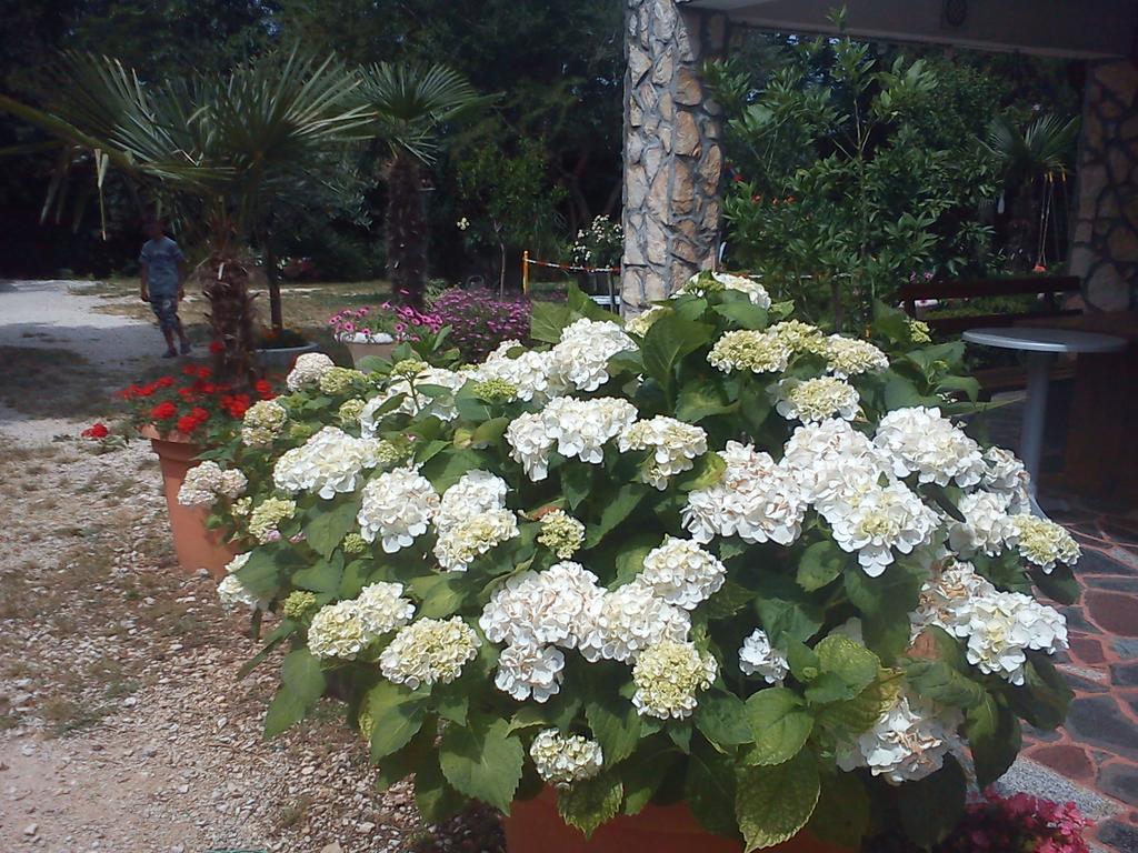 Apartment Rale Umag