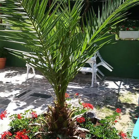 Apartments Rale Umag Room photo