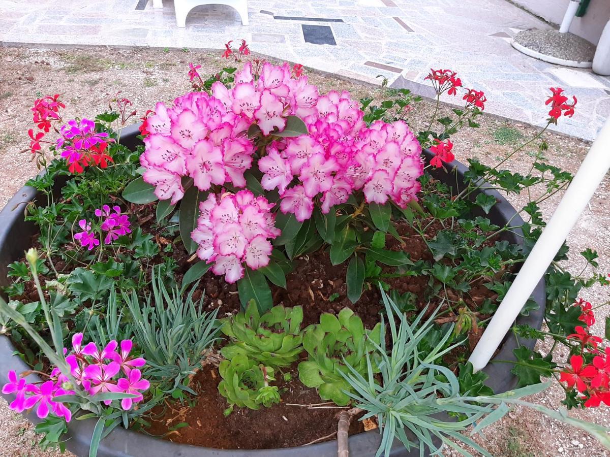 Apartament Rale *